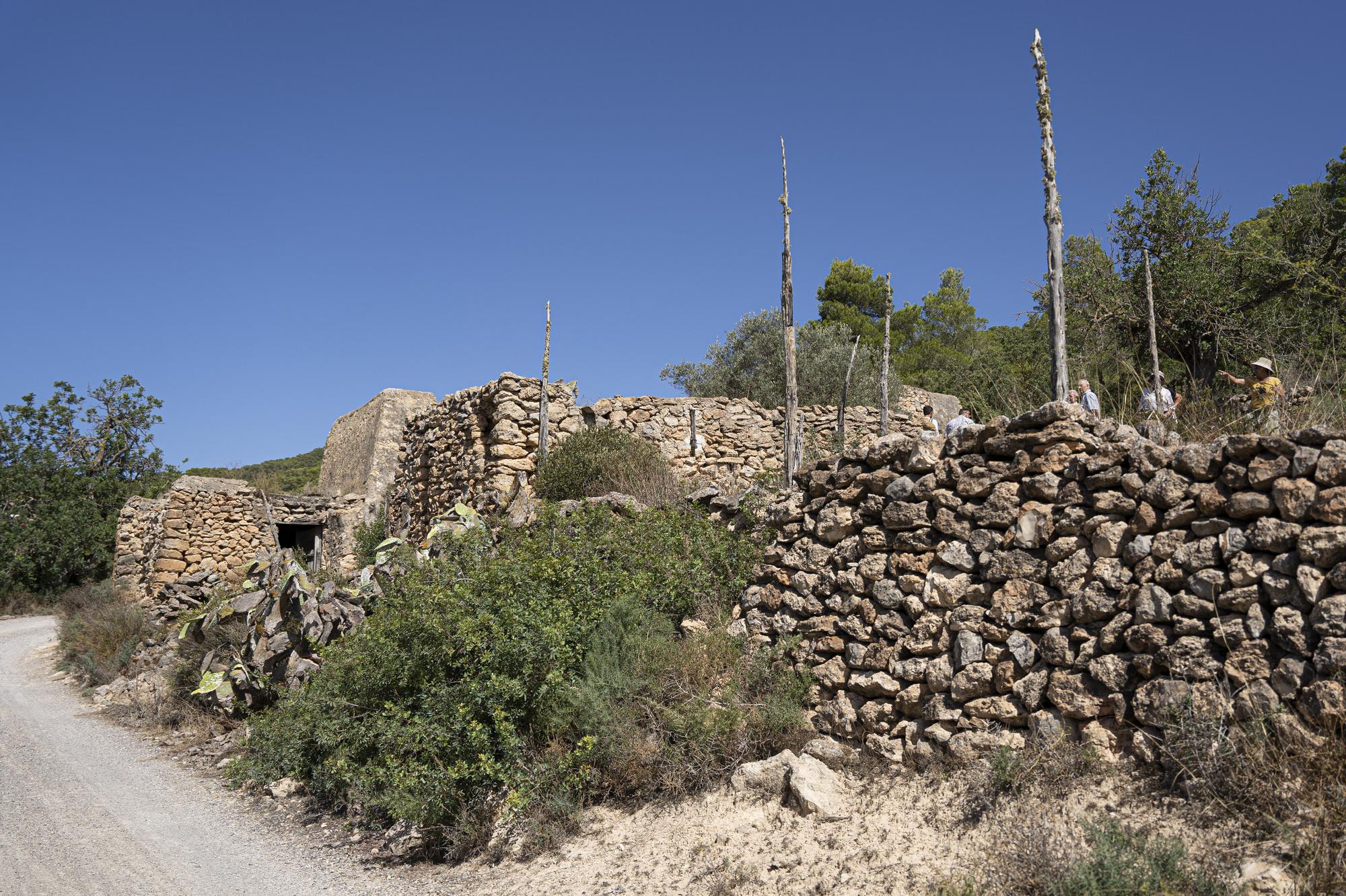 Un centro de divulgación de la abeja ibicenca en Sant Jordi