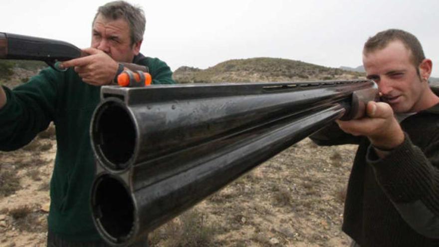 Dos cazadores apuntan con sus escopetas en una cacería este fin de semana en Novelda.