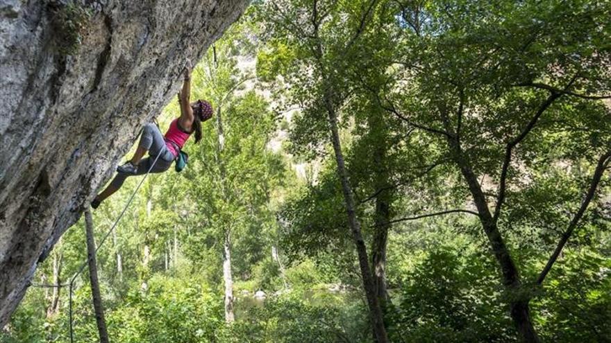 Vertiginosa escaladora