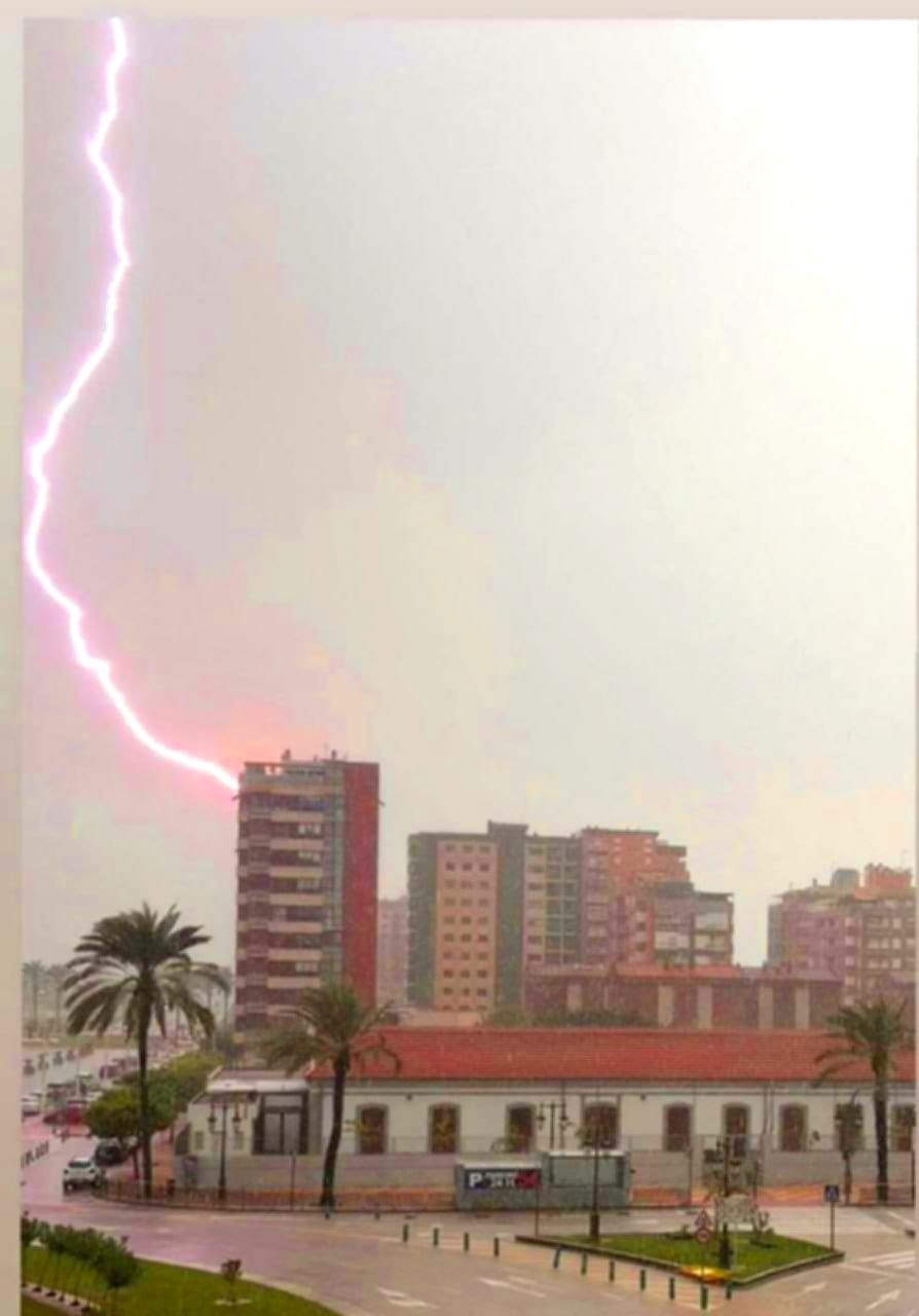 Un rayo impacta sobre una palmera.