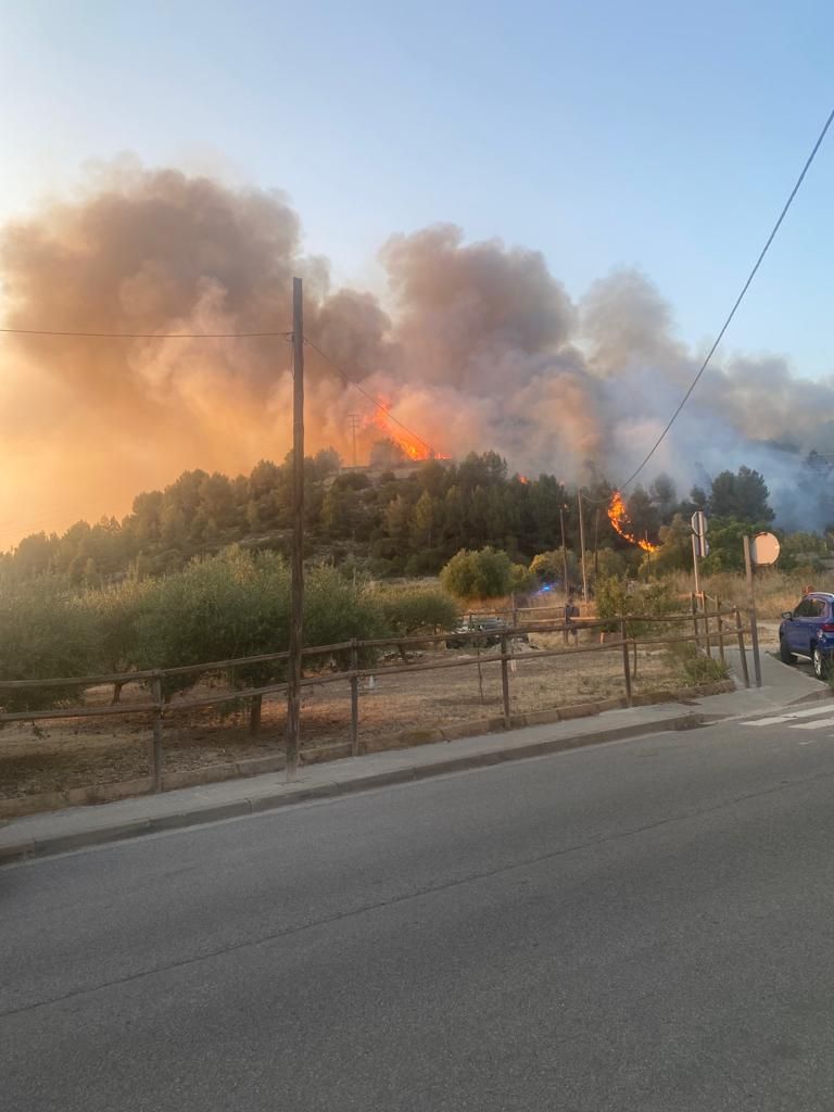 Incendi a Sant Vicenç de Castellet (12 de juliol)