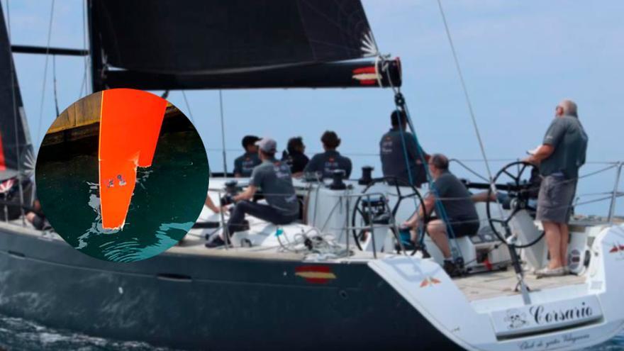 Unas orcas atacan un velero arousano durante la Copa del Rey