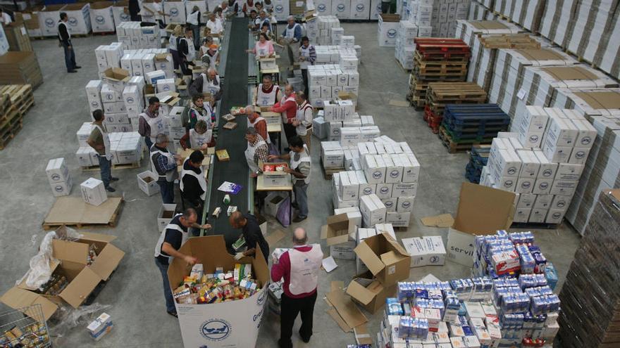 Voluntarios organizan los productos de la Gran Recogida en el almacén de Bancosol.