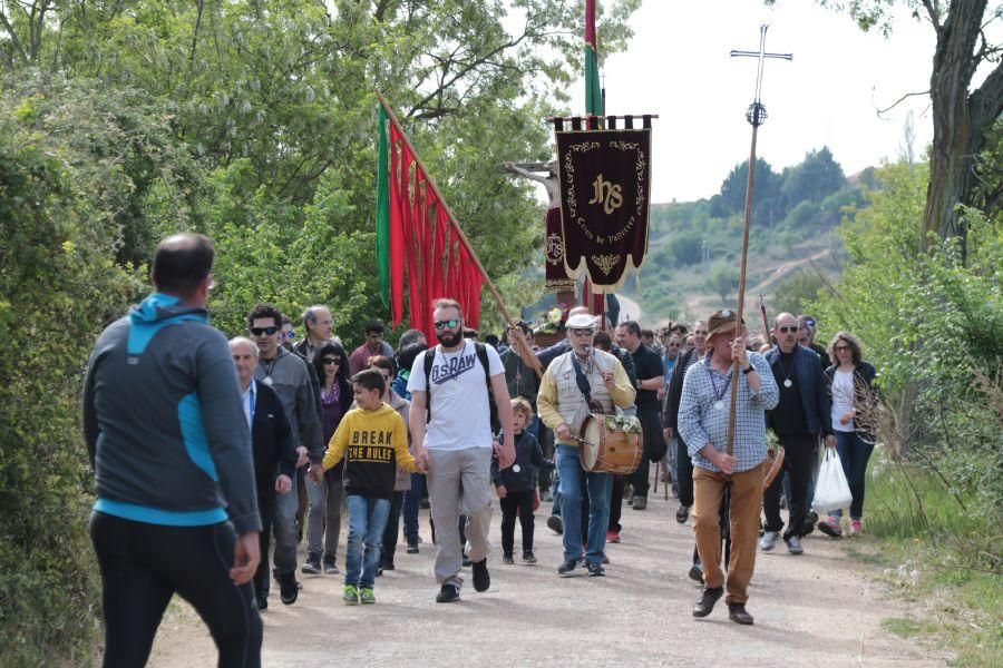 Romería de Valderrey en Zamora