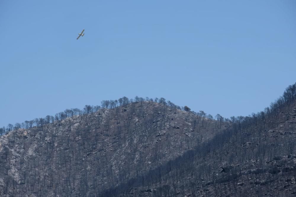 Así ha quedado la zona tras el incendio.