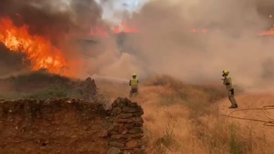 Trabajo de los Bomberos de Zaragoza para evitar que el incendio entre en Moros