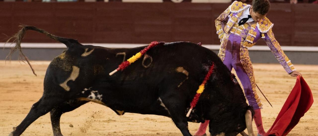 Ginés Marín estuvo cumbre con este toro de Alcurrucén en Las Ventas.