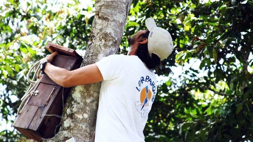 Una actividad dentro de los proyectos financiados por Loro Parque Fundación.