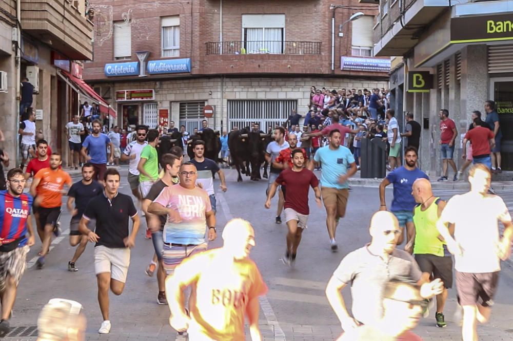 Encierro de toros en Castalla