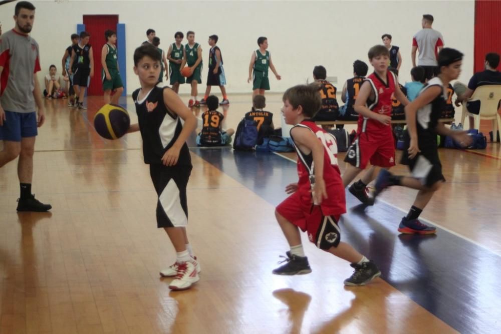 Día del Minibasket en San Javier