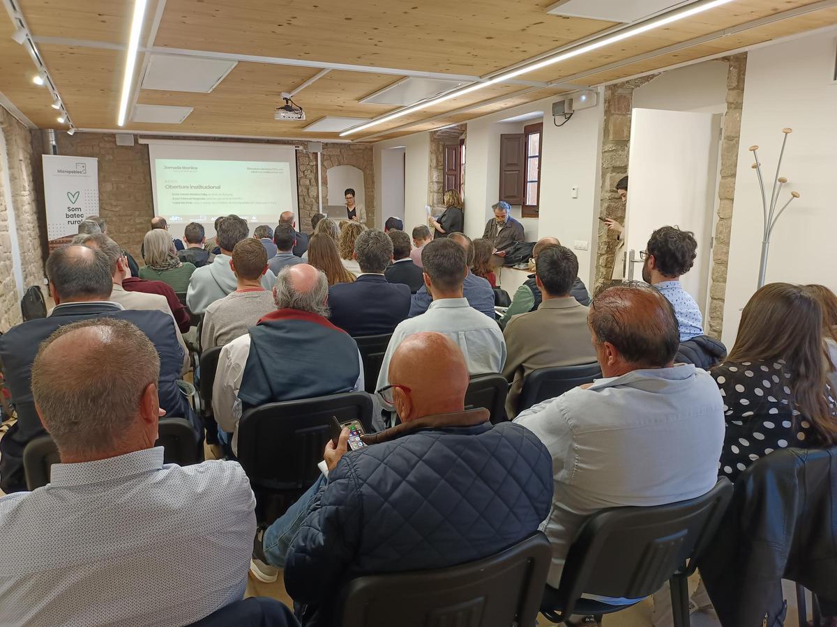 Una quarantena de representants de municipis rurals es van reunir a l’Estany per definir un model més flexible i eficient