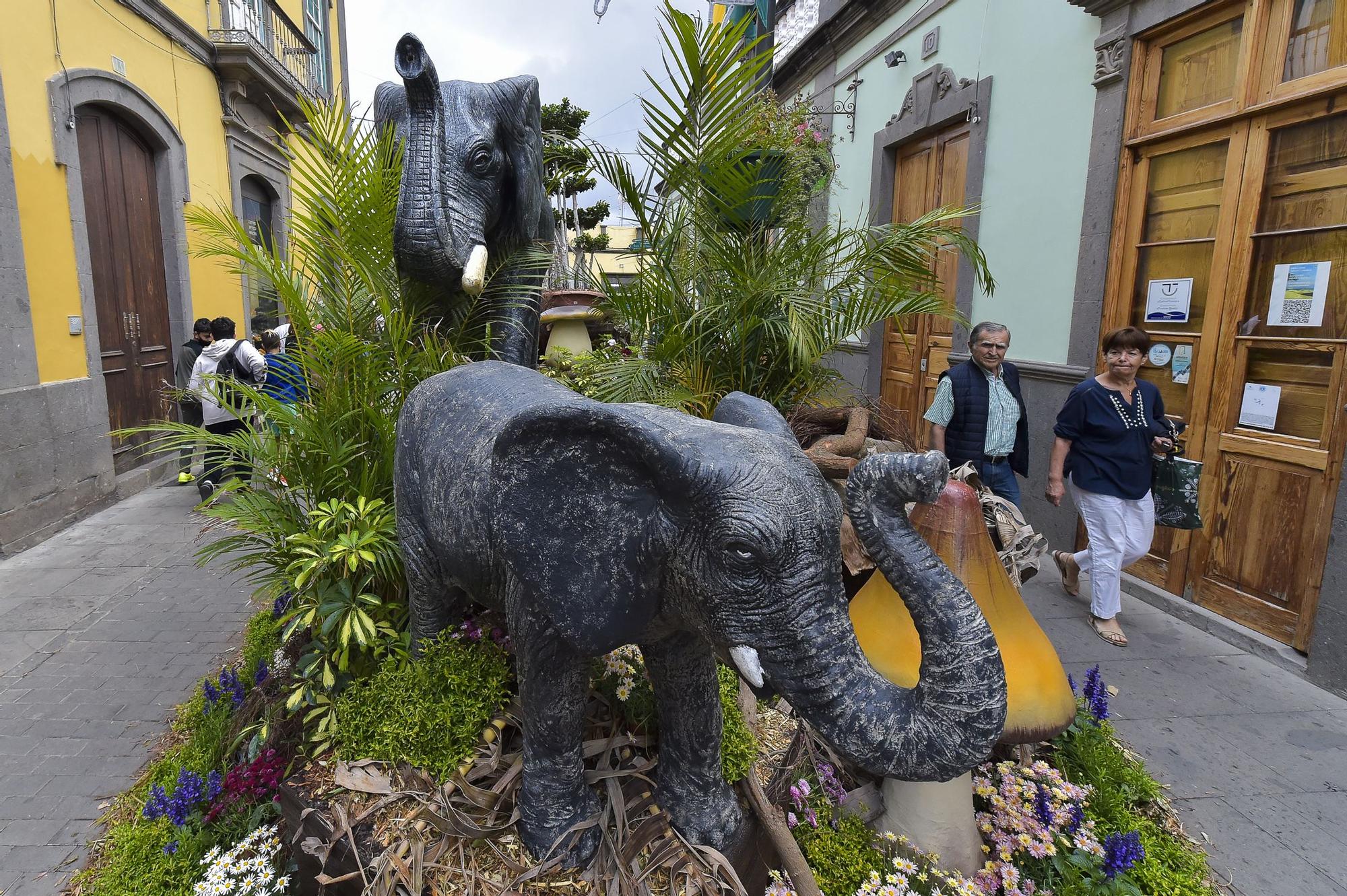 Arucas vive una semana dedicada a la música, la jardinería y la piedra de cantería