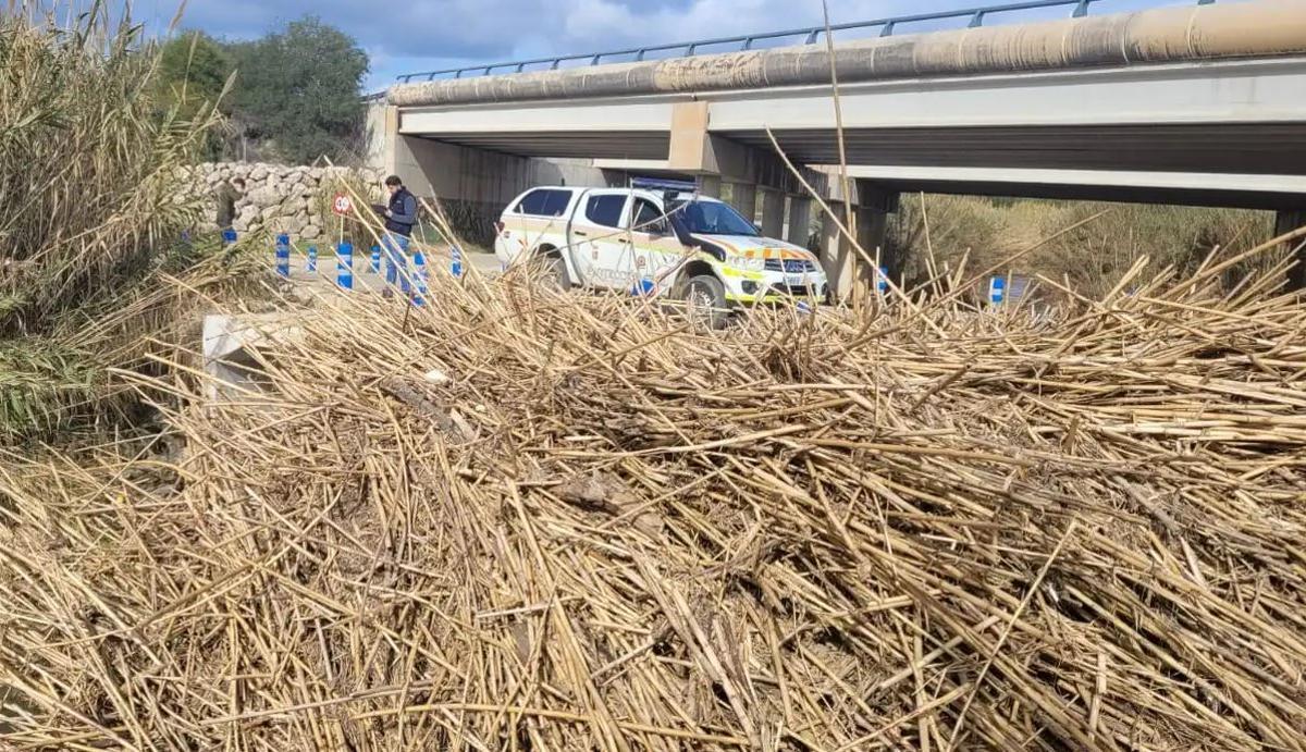 Estado de uno de los arroyos del municipio de Cártama.