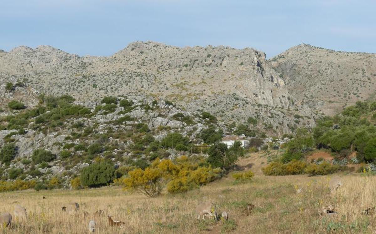 La nava y ermita de la Escarihuela en las sierras de Montejaque