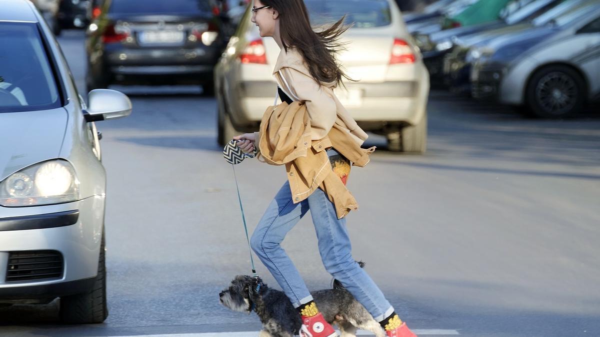 Una joven pasea a su perro por una calle