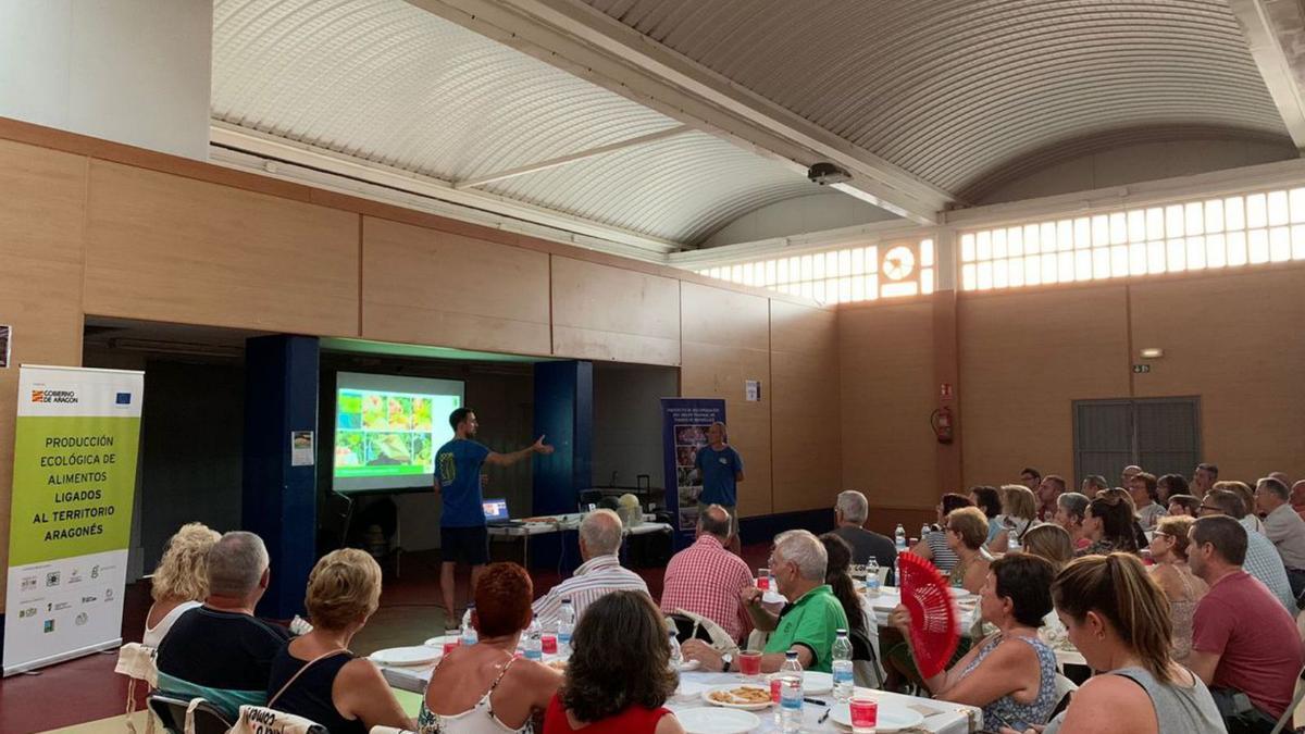 Cata-exposición del melón de Torres de Berrellén celebrada en Luceni.