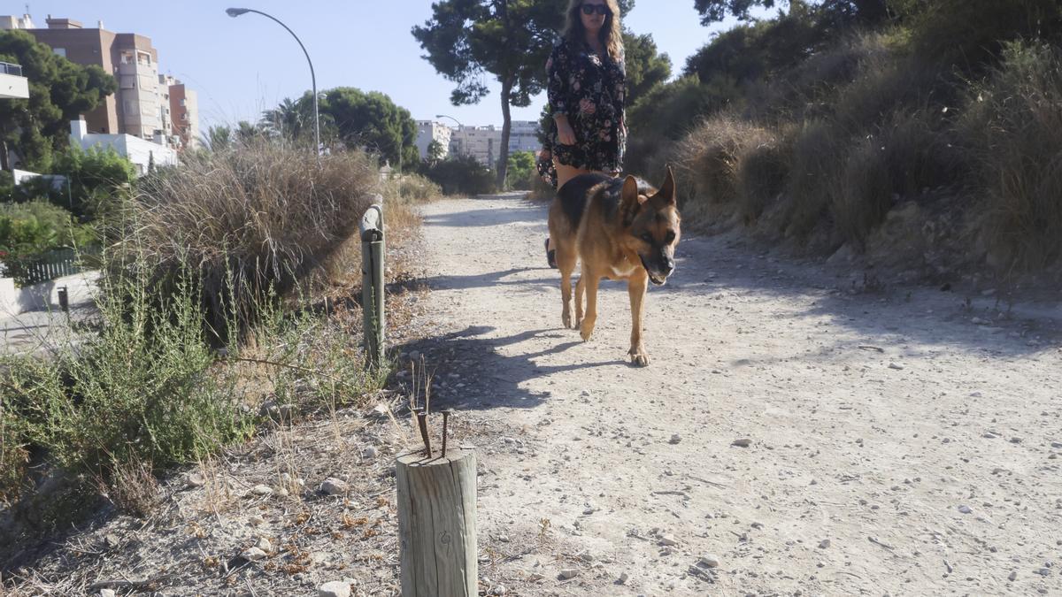 Un perro pasea junto a un poste en el que han dejado varios de los clavos.