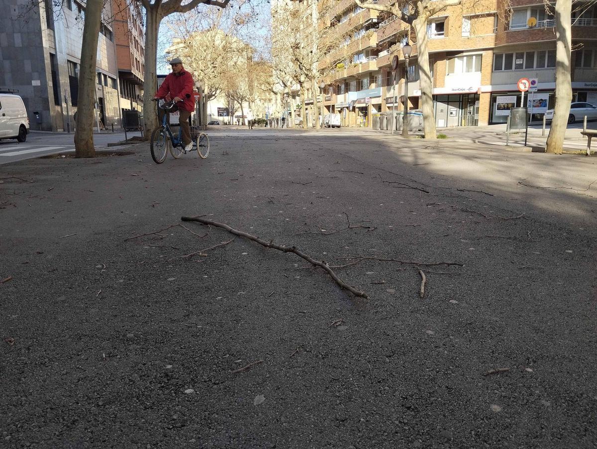 Les branques caigudes pel vent s'escampaven per un Passeig molt buit