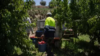 La reforma del reglamento de extranjería facilita que las empresas contraten en origen