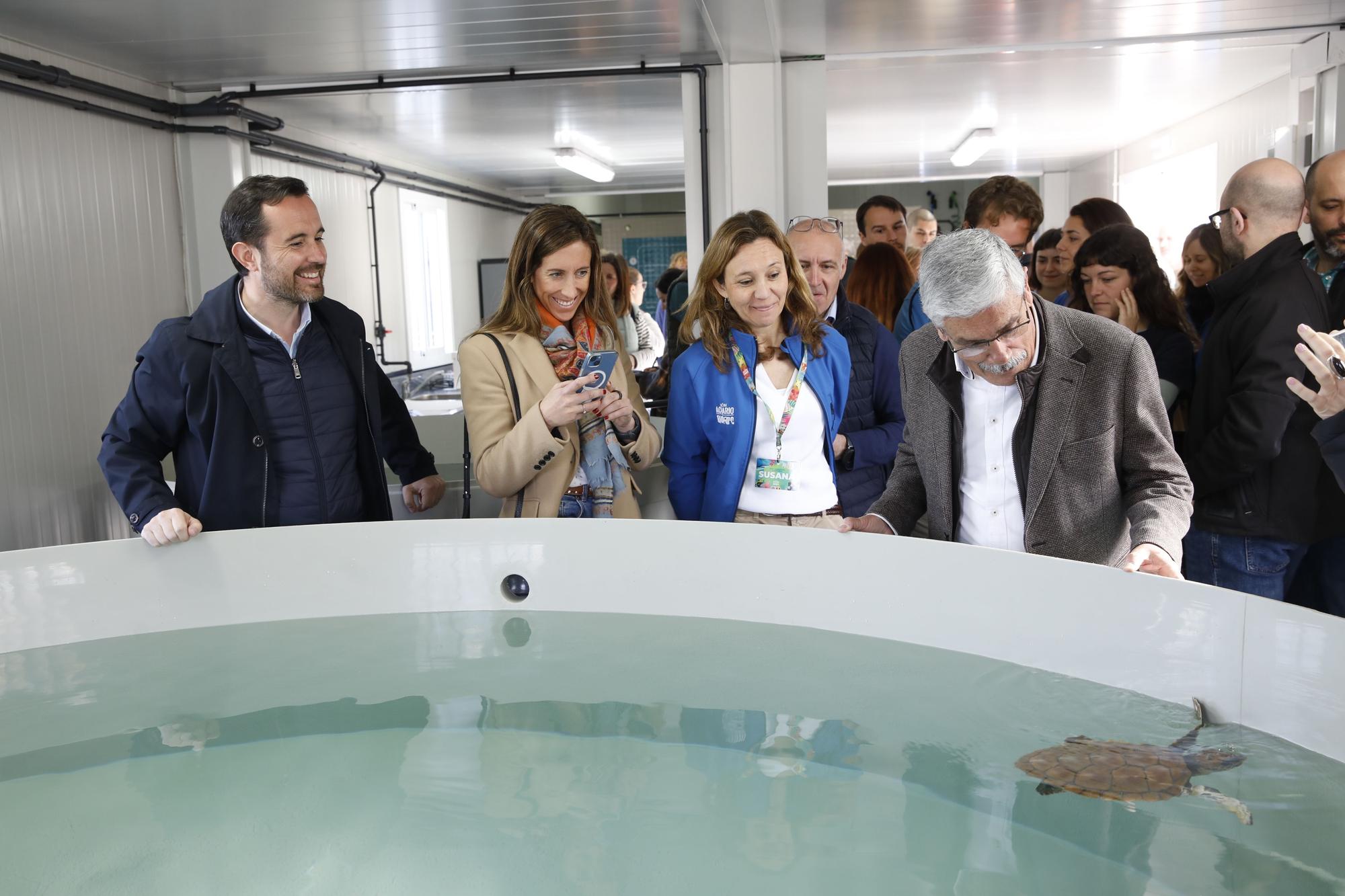 En imágenes: El Acuario de Gijón estrena su nuevo centro de apoyo a la red de varamientos del Principado