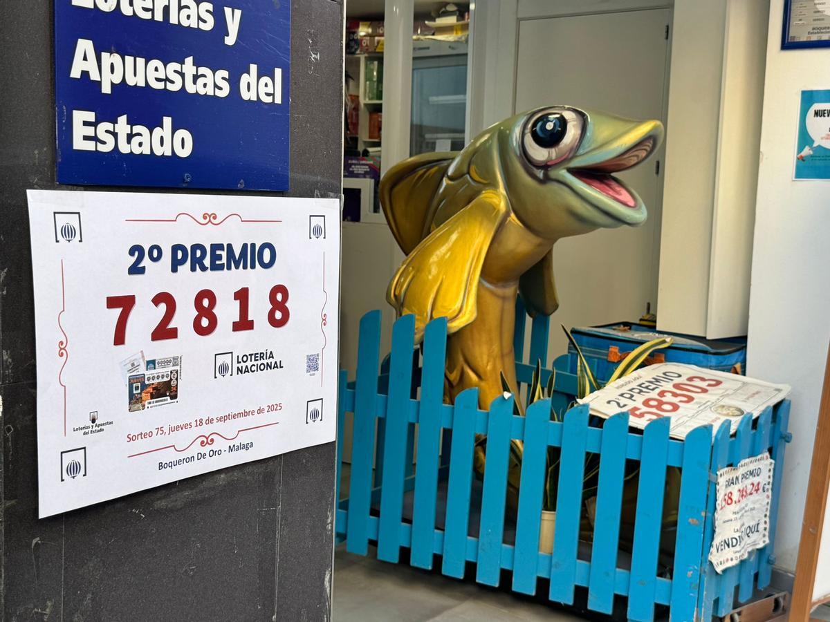 Boquerón de Oro en Lagunillas.