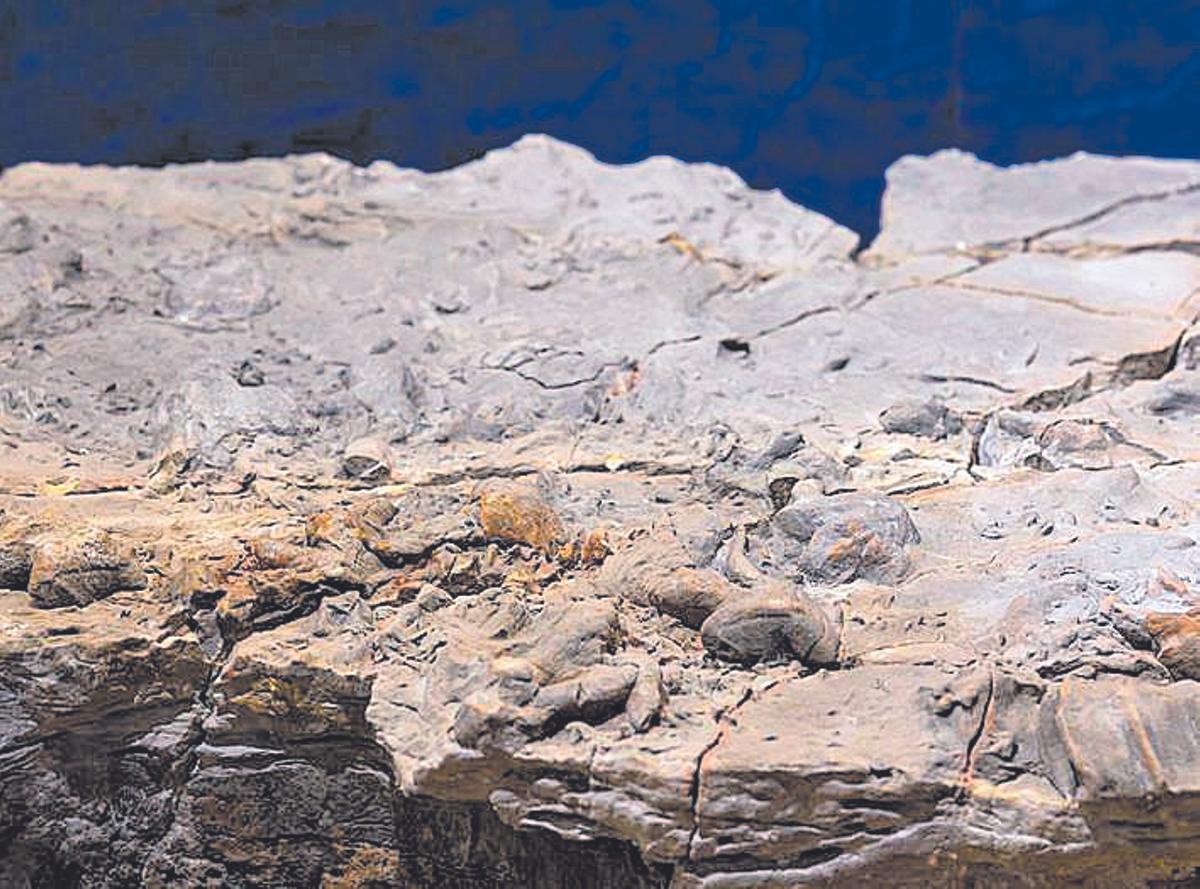 Las huellas mejor conservadas del mundo de pterosaurios