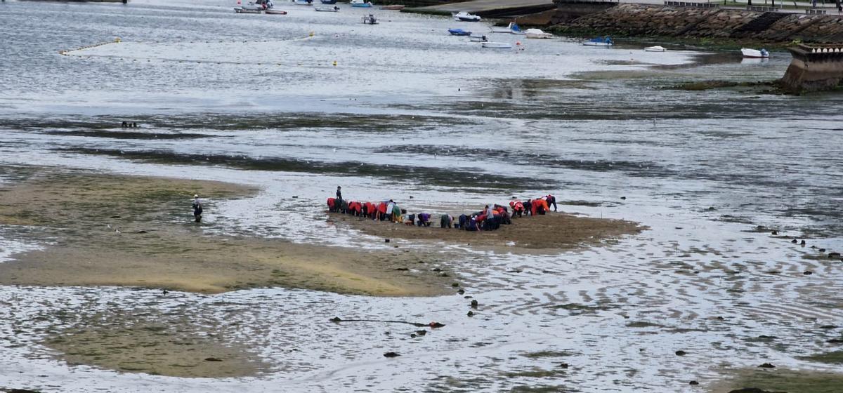 Trabajadoras del marisqueo de Moaña. / A.M.P.