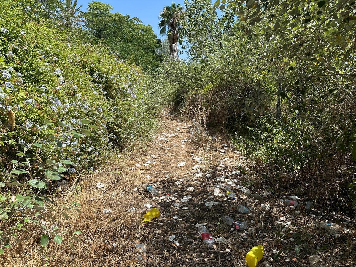 El camino desde el laberinto de setos hasta la puerta que linda con la estación de bombeo de Emasesa, abarrotada de basura.