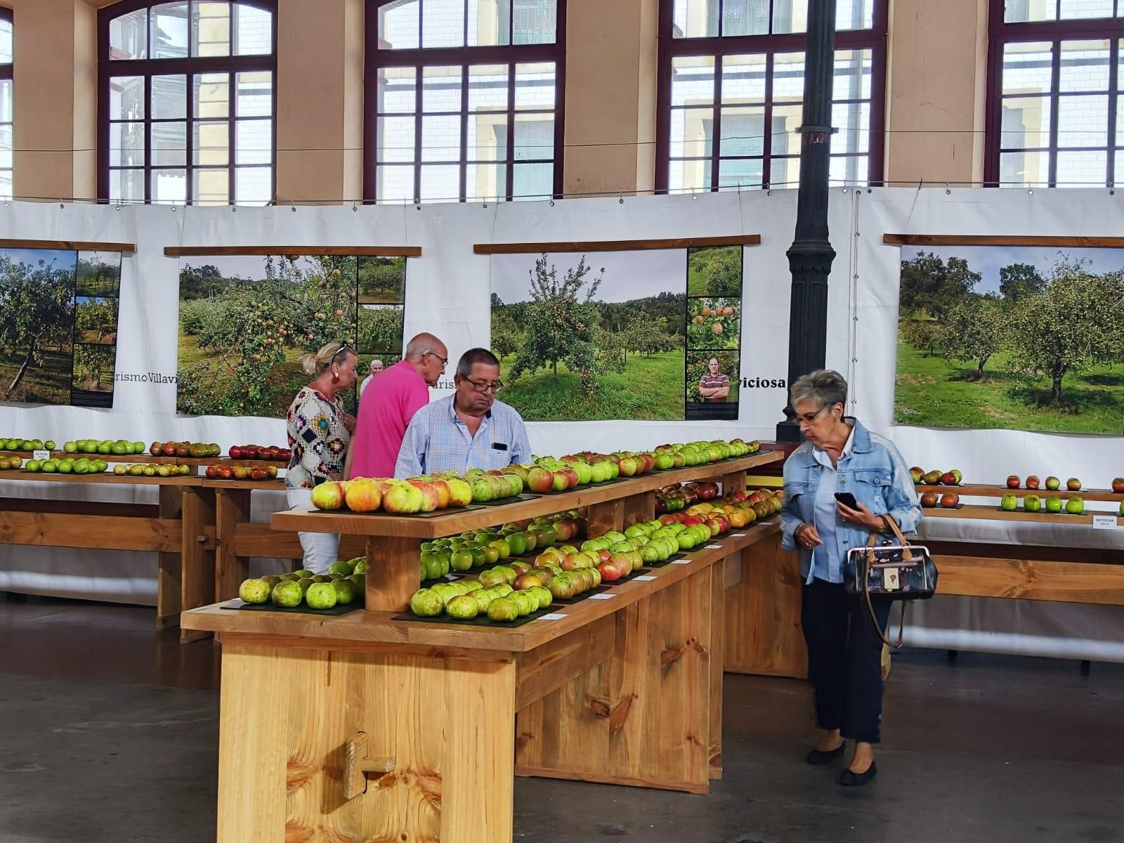 El Festival de la Manzana arranca en Villaviciosa: exposiciones, talleres y actividades infantiles