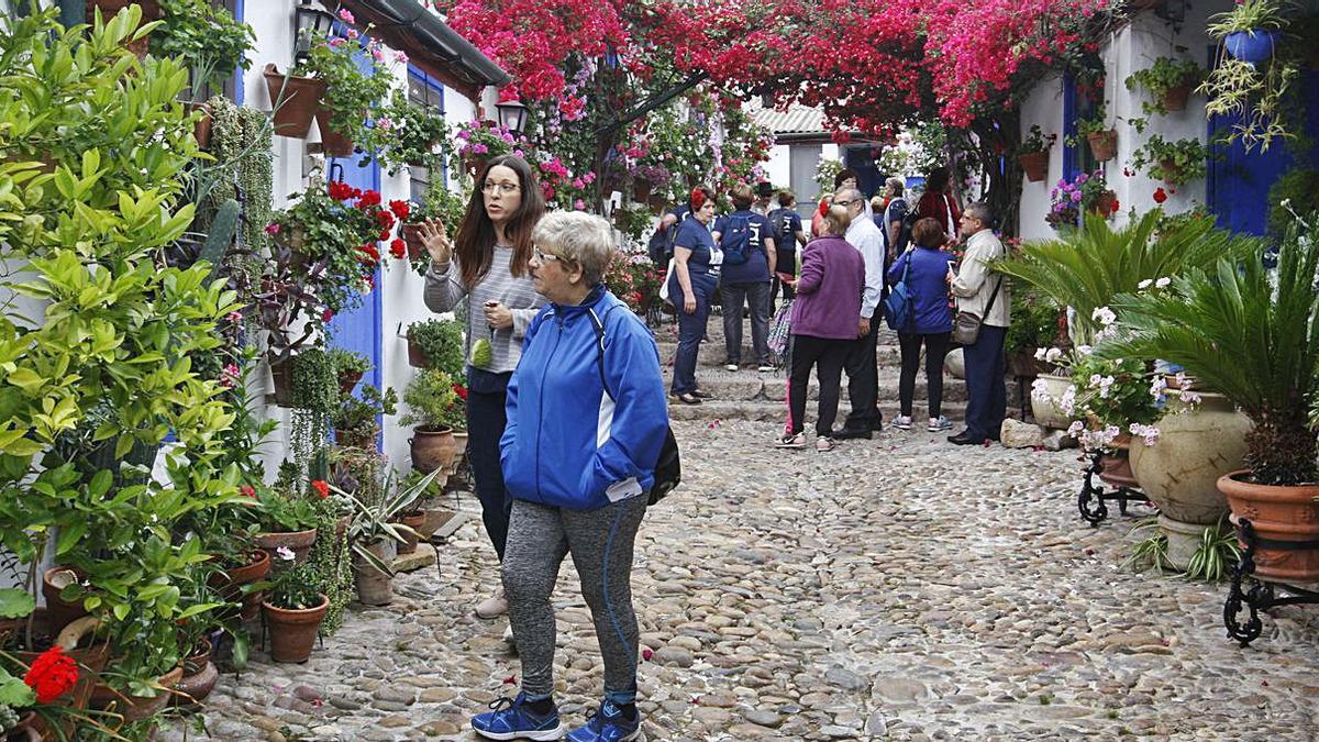 Patios Córdoba 2021: Marroquíes 6