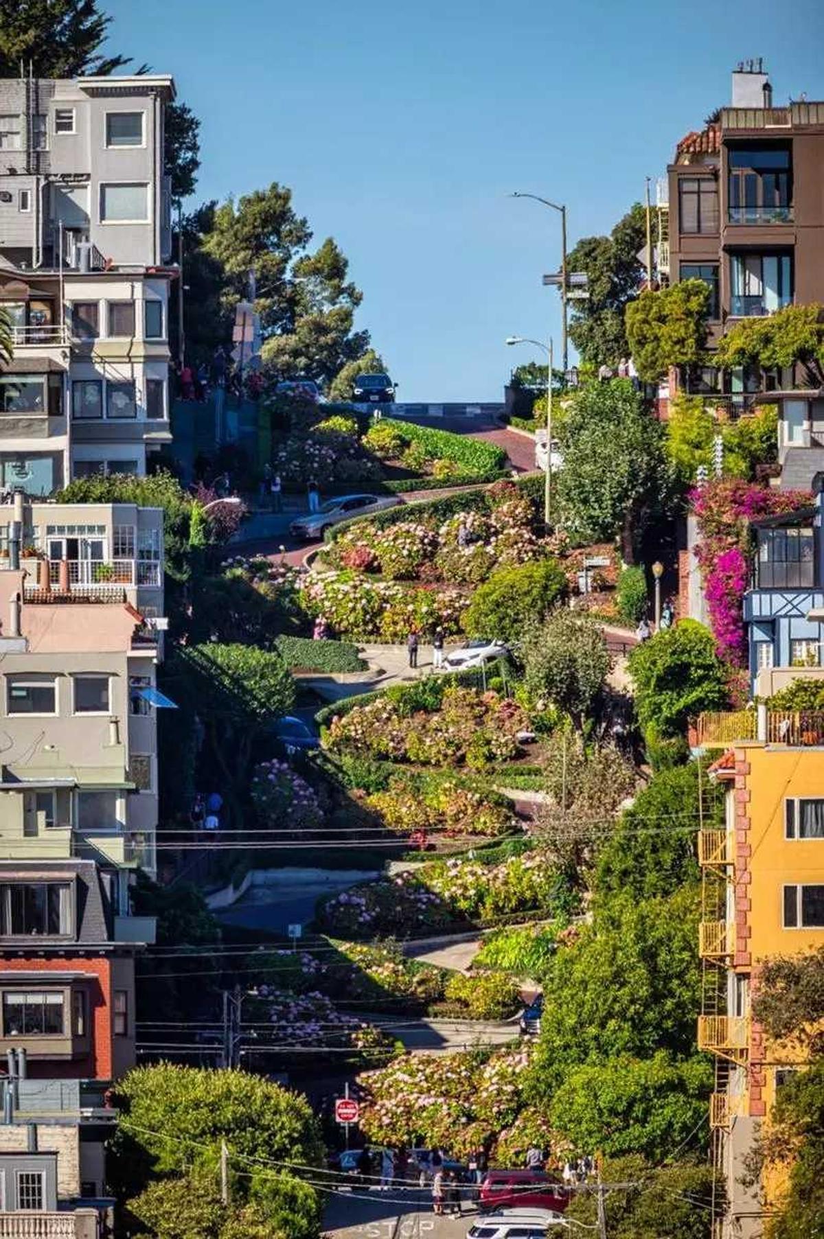 Lombard Street, San Francisco / Eloi_Omella