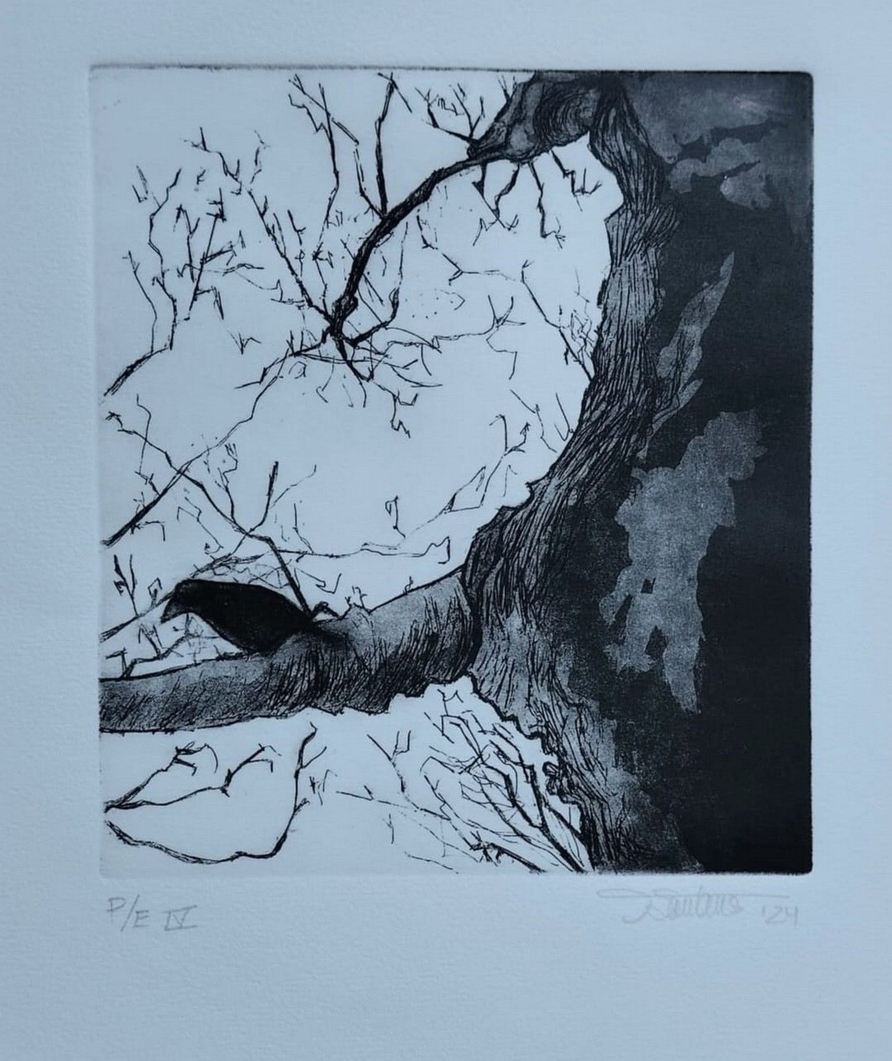 Los talleres de Grabado y de Escultura abren el curso 2024-25 en la Escuela Luján Pérez