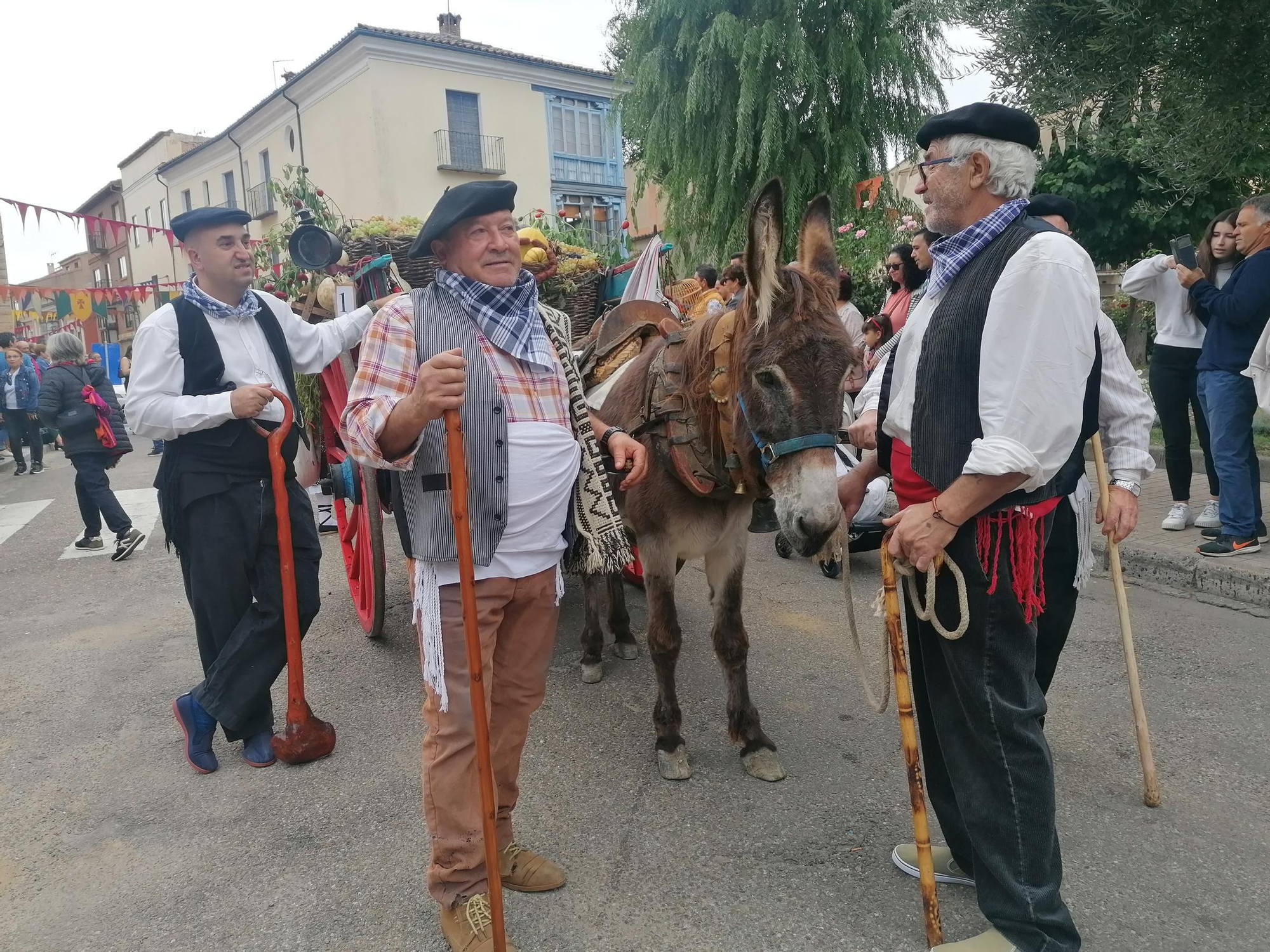 GALERÍA | Toro recrea la vendimia tradicional en el desfile de carros