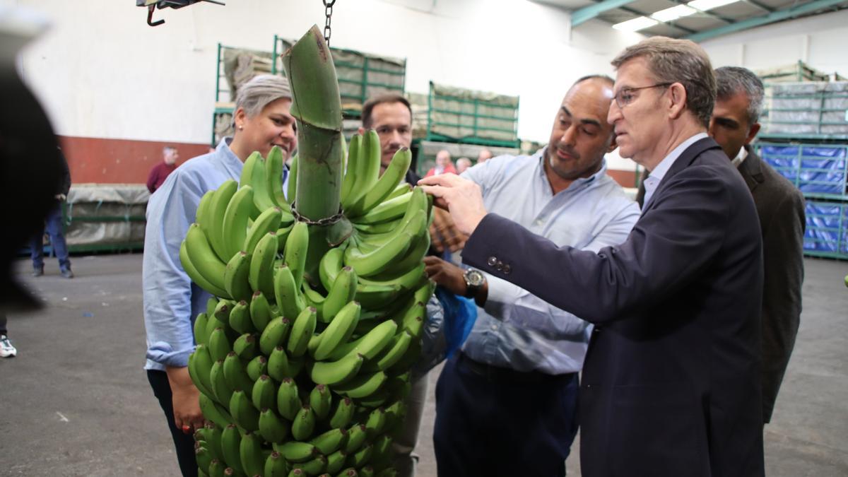 Un momento de la visita de Feijóo a La Palma.