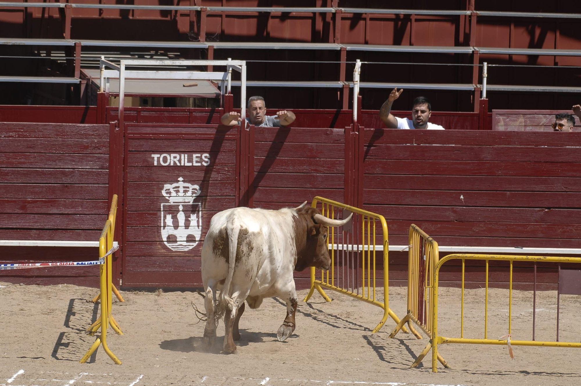 GALERÍA | El carretón Imperioso y la cagada de la suerte