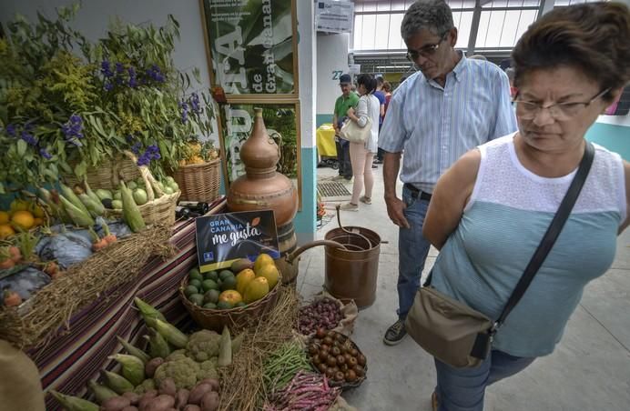 ARUCAS GRAN CANARIA A 27/05/2017. Feria de Ganado en la Granja del Cabildo de Gran Canaria. FOTO: J.PÉREZ CURBELO