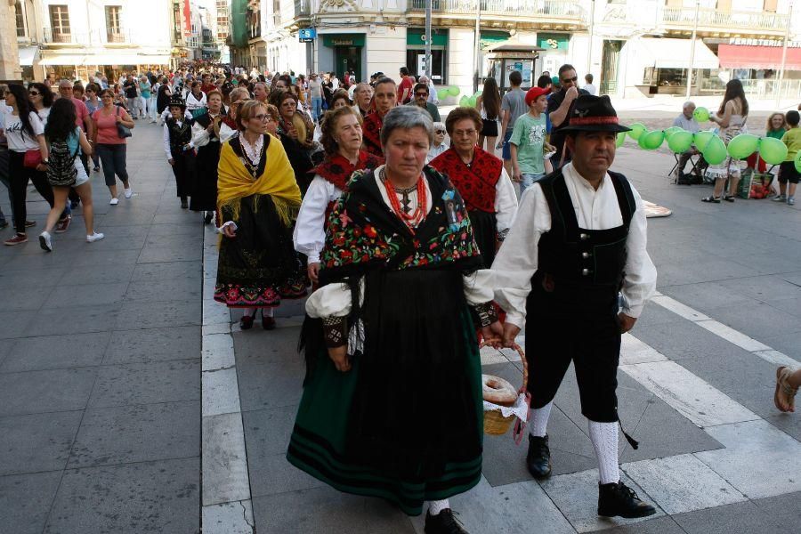 San Pedro 2016: Los trajes regionales toman Zamora