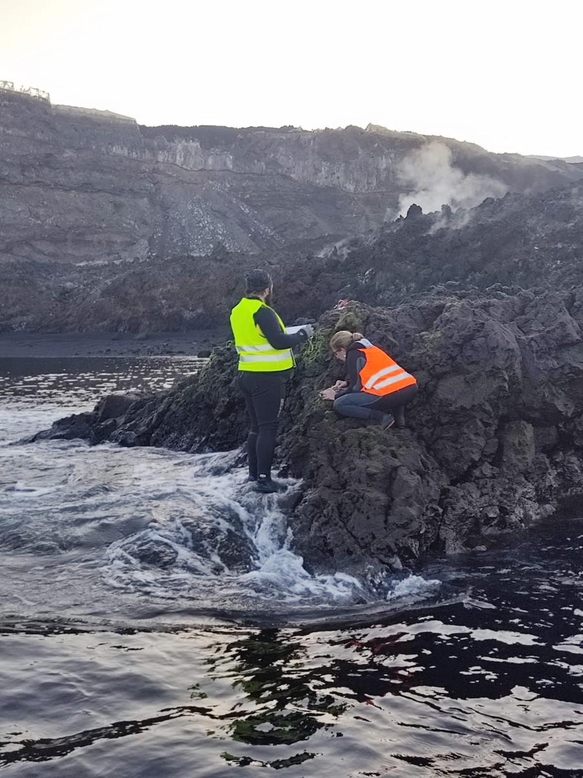 Investigadores del grupo BotMar-ULL realizando muestreos en la zona intermareal de los deltas lávicos.