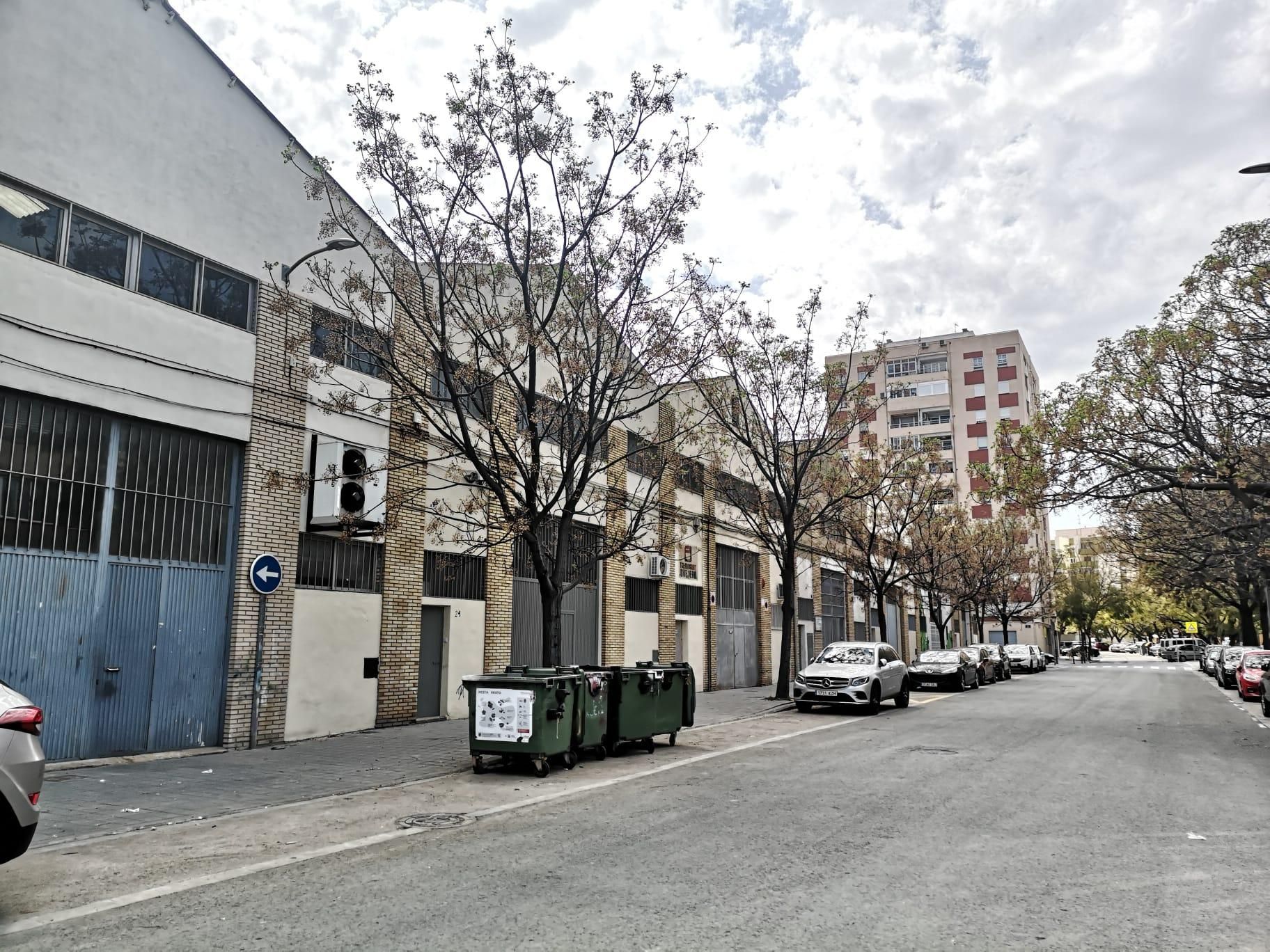 Así está la Ciudad del Artista Fallero en la actualidad