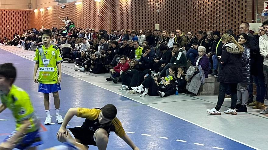 Cantera Balonmano Zamora