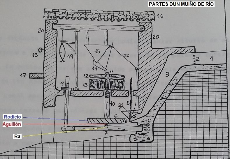 Debuxo das partes dun muiño de río.