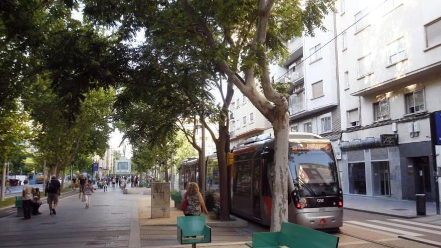 La Gran Vía-Fernando el Católico se renueva con arbustos elegidos por vecinos