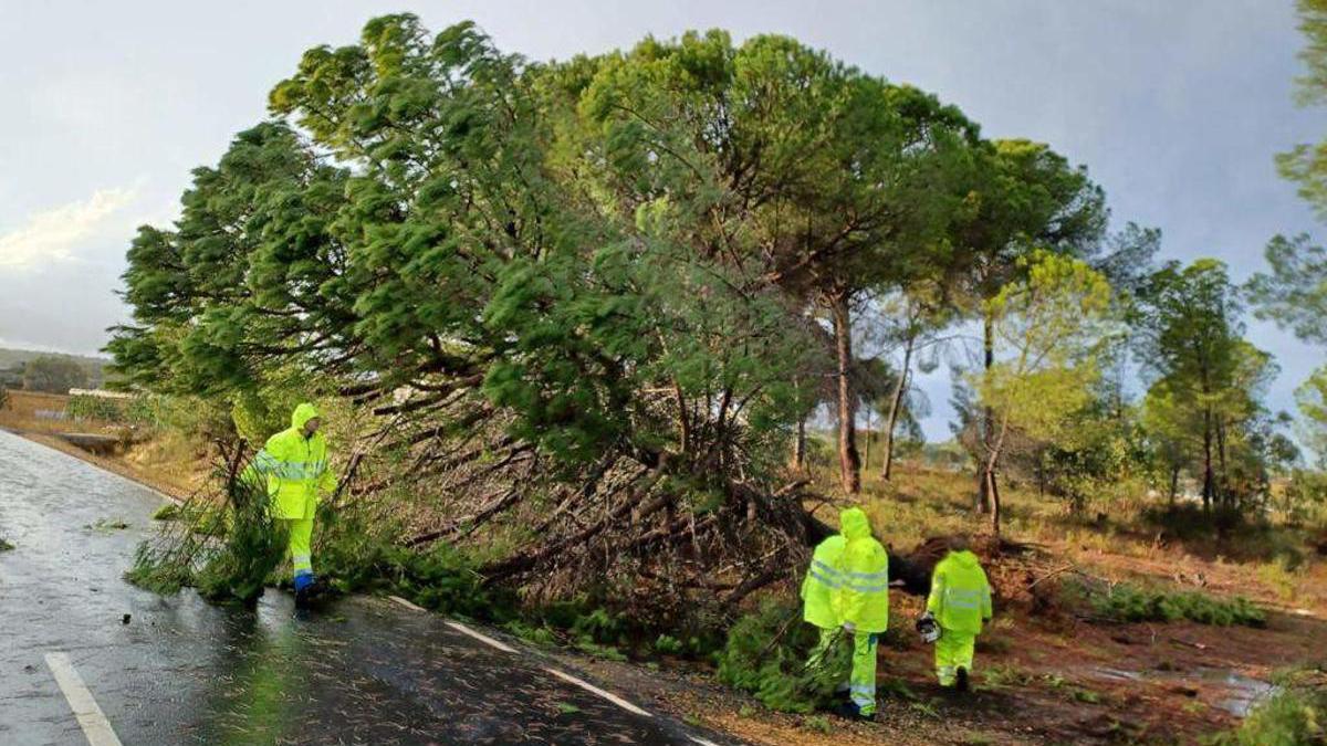 Consecuencias del temporal en Huelva