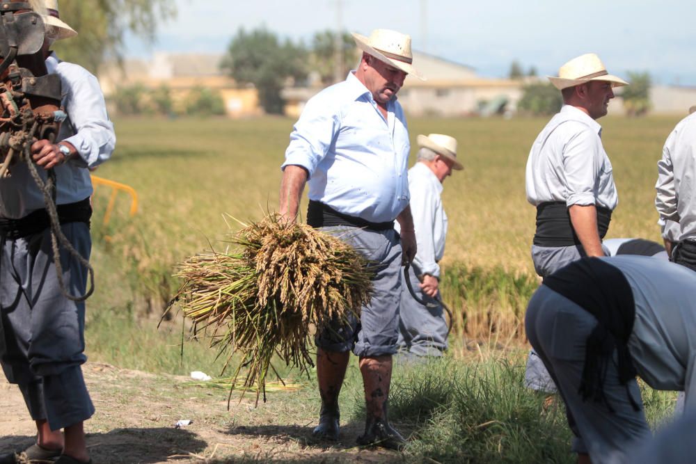 Fiesta de la Siega del Arroz