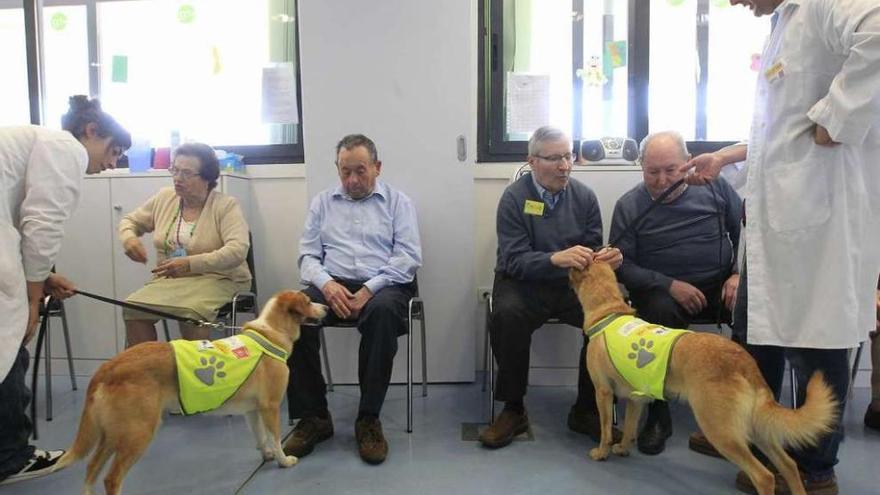 Varios pacientes con alzhéimer en un taller de un centro especializado. ricardo grobas