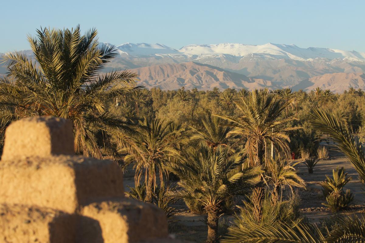 Los oasis están inundados de verdadera belleza natural