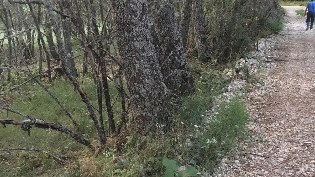 Camino de El Sierro, en Sandín, donde se han encontrado restos de construcción