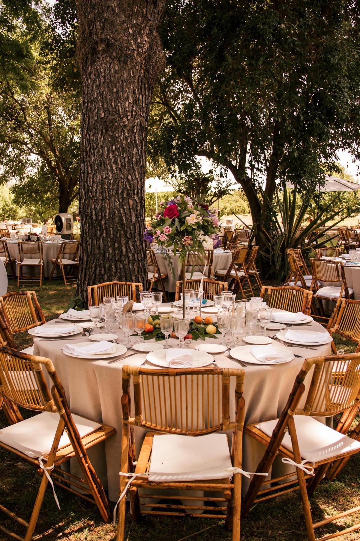 Trevian trabaja en espacios emblemáticos como el Real Alcázar, el Museo de Carruajes, la Plaza de España, Fundaciones como Cajasol, San Telmo y Nao Victoria, Casa Guardiola y Palacio de Lebrija entre otros muchos.