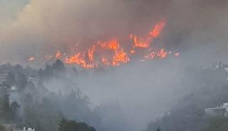 500 personas desalojadas y más de 140 hectáreas afectadas en el incendio de La Palma