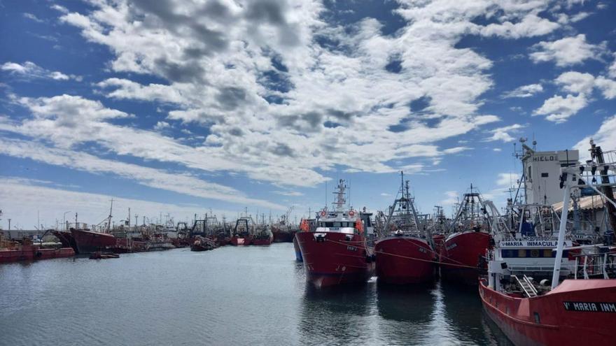 La flota en Argentina teme ya por cuotas y aranceles: “Esto llega en el peor momento”